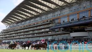 Sprinting big guns all set for King’s Stand showdown