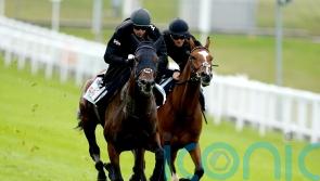 Crisford team considering options for West Wind Blows after Derby effort