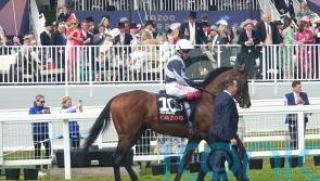 Irish Derby ‘most obvious objective’ for Piz Badile