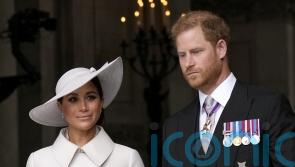Duke of Sussex’s libel claim against publisher over Home Office case in court
