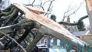 Power firms provided ‘unacceptable service’ to some after Storm Arwen – watchdog