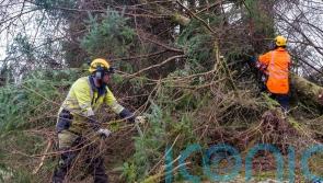 Communities worst affected by Storm Arwen to receive £3.5m in redress payments