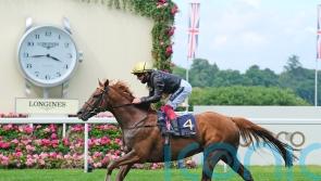 Stradivarius back in the ring for another shot at Gold Cup glory