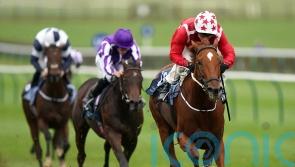 Saffron Beach in Duke of Cambridge contention