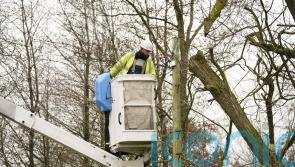 Storm response shows rural areas do not matter to energy providers – resident