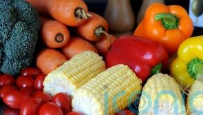 Government under fire for food strategy ‘bordering on the preposterous’