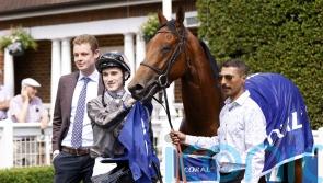 Progressive Mitbaahy impresses in Scurry Stakes