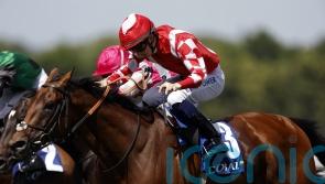 Via Serendipity enters Hunt Cup picture