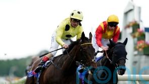 Without A Fight comes out on top at York