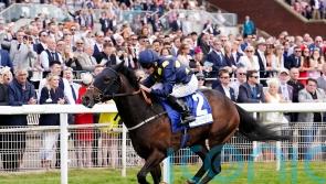 Harry Three too good in valuable York sprint