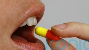 Study aims to improve tests to predict antibiotic resistance