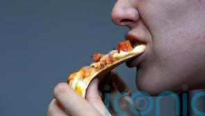 Humans are smarter eaters than previously thought, study suggests