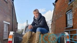 Crops being wasted on British farms despite food bank woes, industry boss says