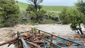 Yellowstone flooding forces 10,000 to leave national park