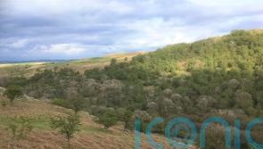Funding to rewild and restore landscapes is ‘essential’, Government warned
