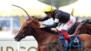 Stradivarius bidding to defy Father Time with a fourth Gold Cup