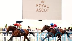 State Of Rest is Wales’s wonder for O’Brien and Crosse