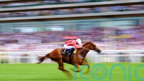 Saffron Beach impresses in Duke of Cambridge
