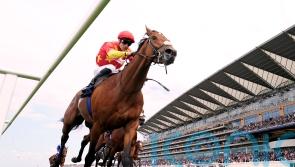 Royal Ascot day two – in pictures