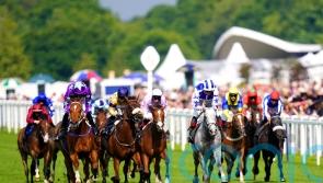 Dark Shift is Royal Hunt Cup hero