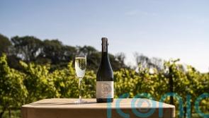 5 fabulous fizzes to celebrate English Wine Week
