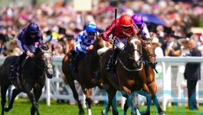 The Ridler finds the answers in incident-packed Norfolk Stakes