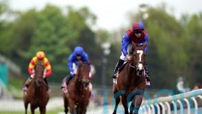Savvy success not beyond Woods contender in King Edward