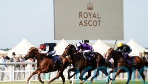 Kyprios is Gold Cup king as gallant Stradivarius goes down fighting