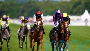 So close but so far for Stradivarius in Gold Cup