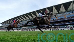 Reach For The Moon and Saga close to famous victories for the Queen