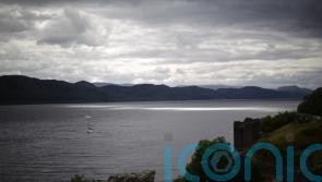 Highlands rewilding project recommended for global UN flagship status