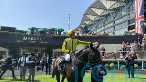 Power just Perfect in Commonwealth Cup