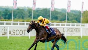 Campanelle seeking Ascot hat-trick in Platinum Jubilee