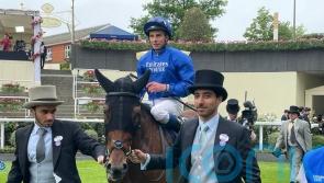 Noble Truth makes all for Jersey Stakes triumph