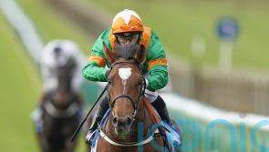 Lone Eagle team looking for suitable option