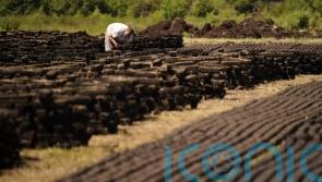 Targets to be set for cutting emissions in key sectors of Ireland’s economy