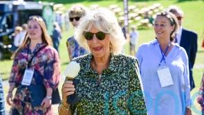 Camilla picks Elizabeth I to join her at an evening book club