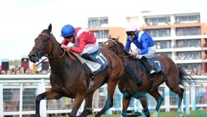 Sacred team eyeing Prix Maurice de Gheest option