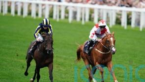 O’Donoghue has lots to look forward to with Pearling Path