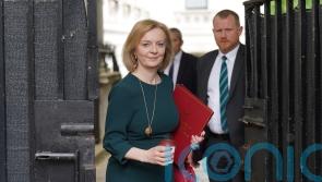 Truss pledge to help detained British-Egyptian writer offers family hope