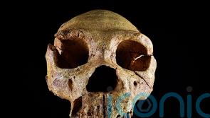 Canterbury suburbs home to some of Britain’s earliest humans, study finds