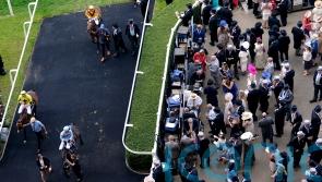 Queen Mary runner-up Maylandsea heading for Newmarket