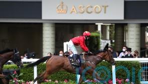 Big sprint targets under the microscope for Highfield Princess