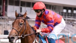 Pretty Polly plan for Dreamloper – but rain would be a concern