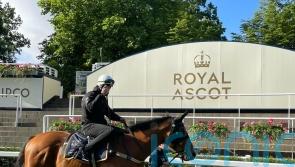 Home Affairs retired to Coolmore Australia