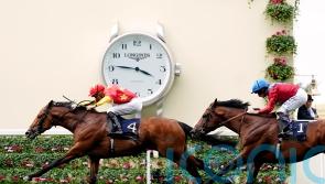 Cox Plate defence likely to be major aim for State Of Rest