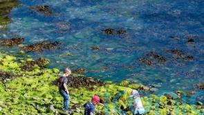 6 cheap and brilliant family days out to go on this summer