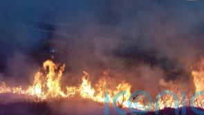 Fire safety campaign launches after outdoor blazes double in summer 2021