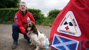 Dog search team steps up training ahead of Ukraine deployment to find bodies