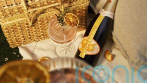 7 picnic tipples to perk up your palate